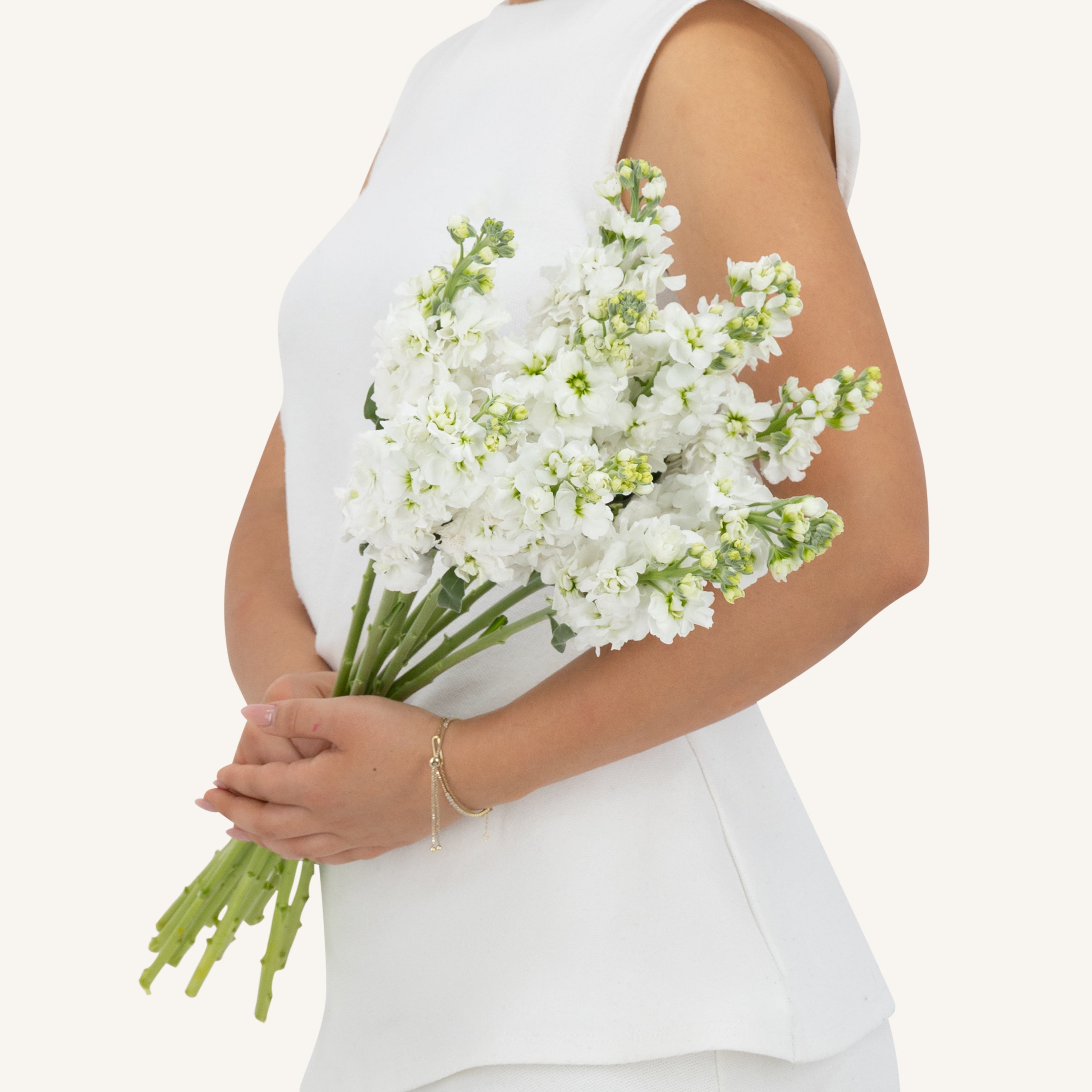 10 White Matthiola Bunch