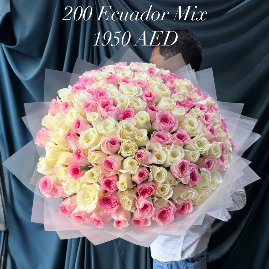 200 Ecuador Mix Roses