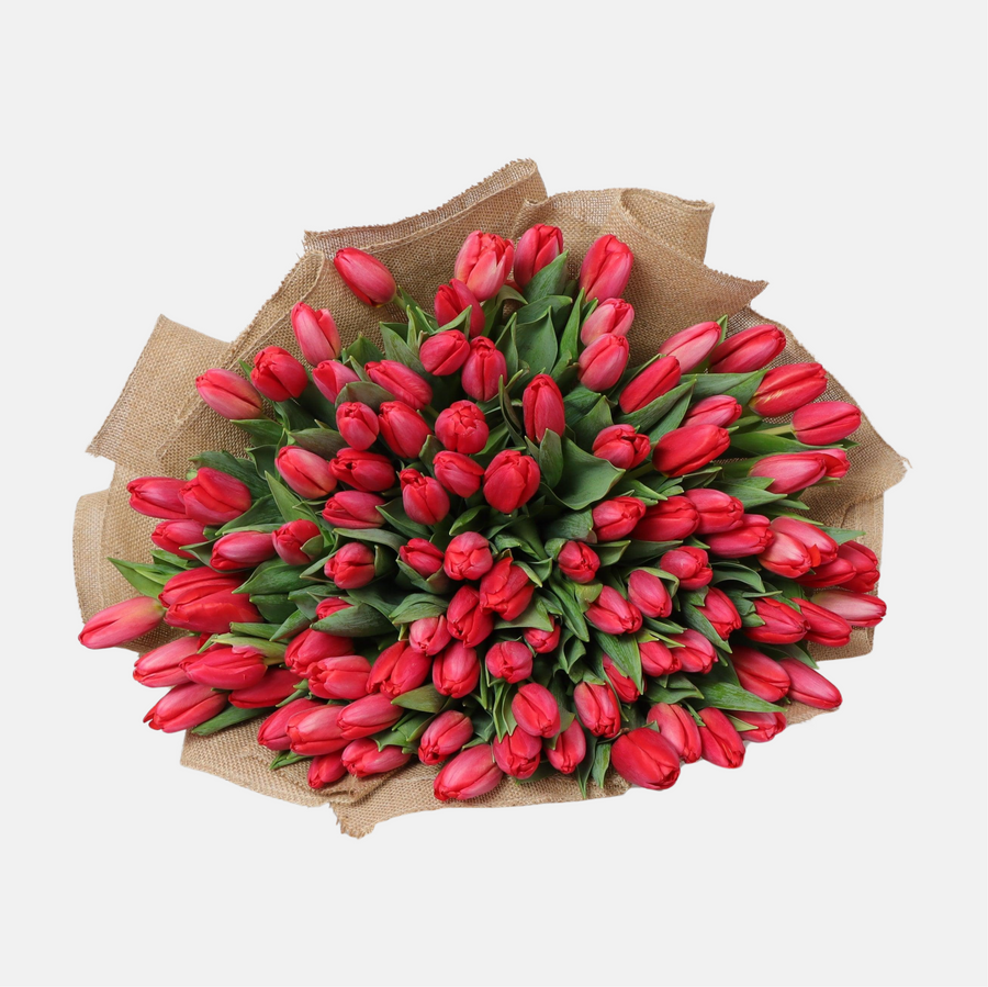 120 Red Tulip Bouquet (65cm x 65cm)