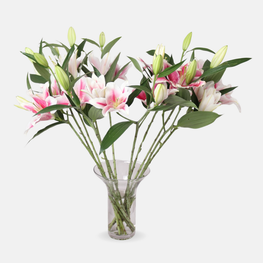 12 Pink Lilies in a Vase (70cm x 75cm)
