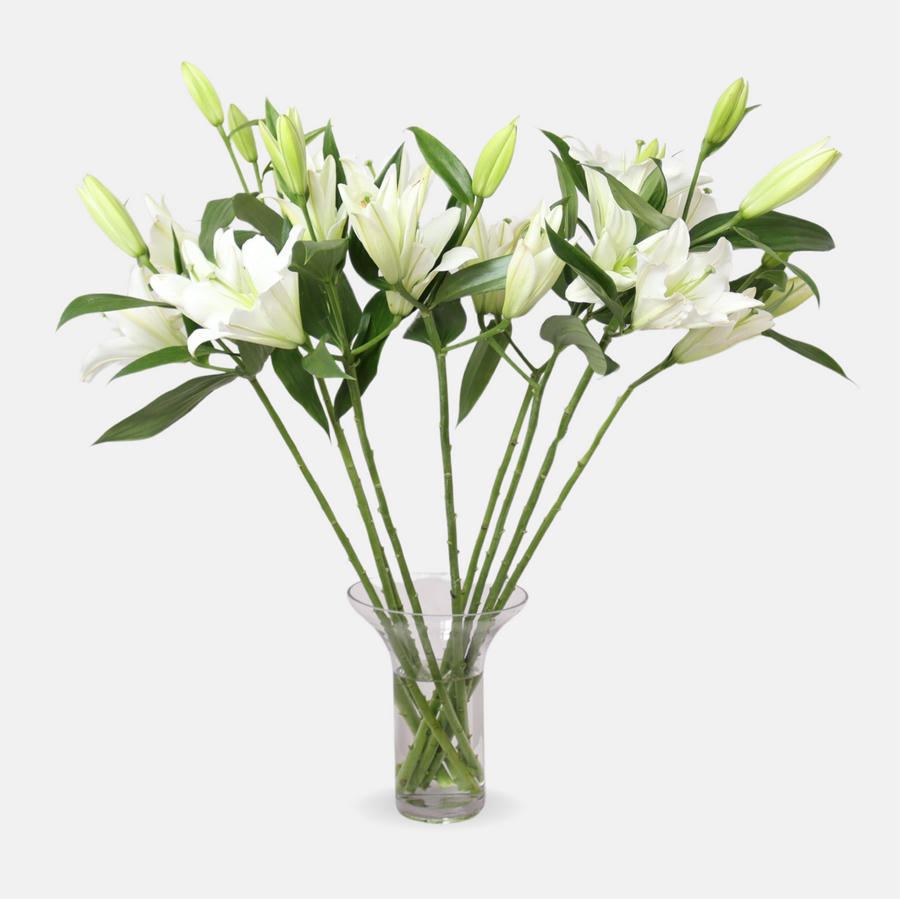 12 White Lilies in a Vase (70cm x 75cm)