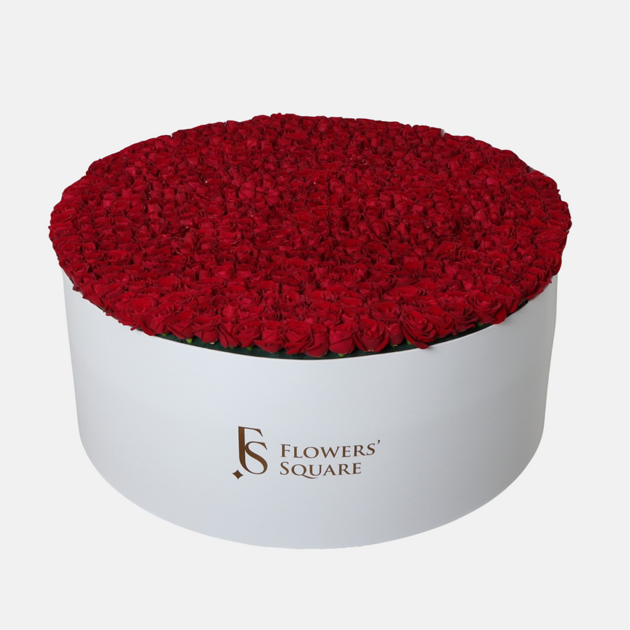 550 Spray Rose Box Red (28cm x 75cm)