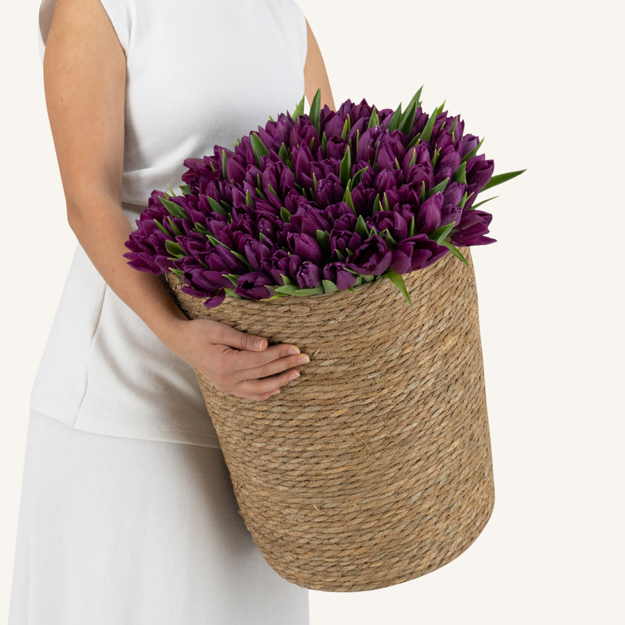 150 Purple Tulip Basket