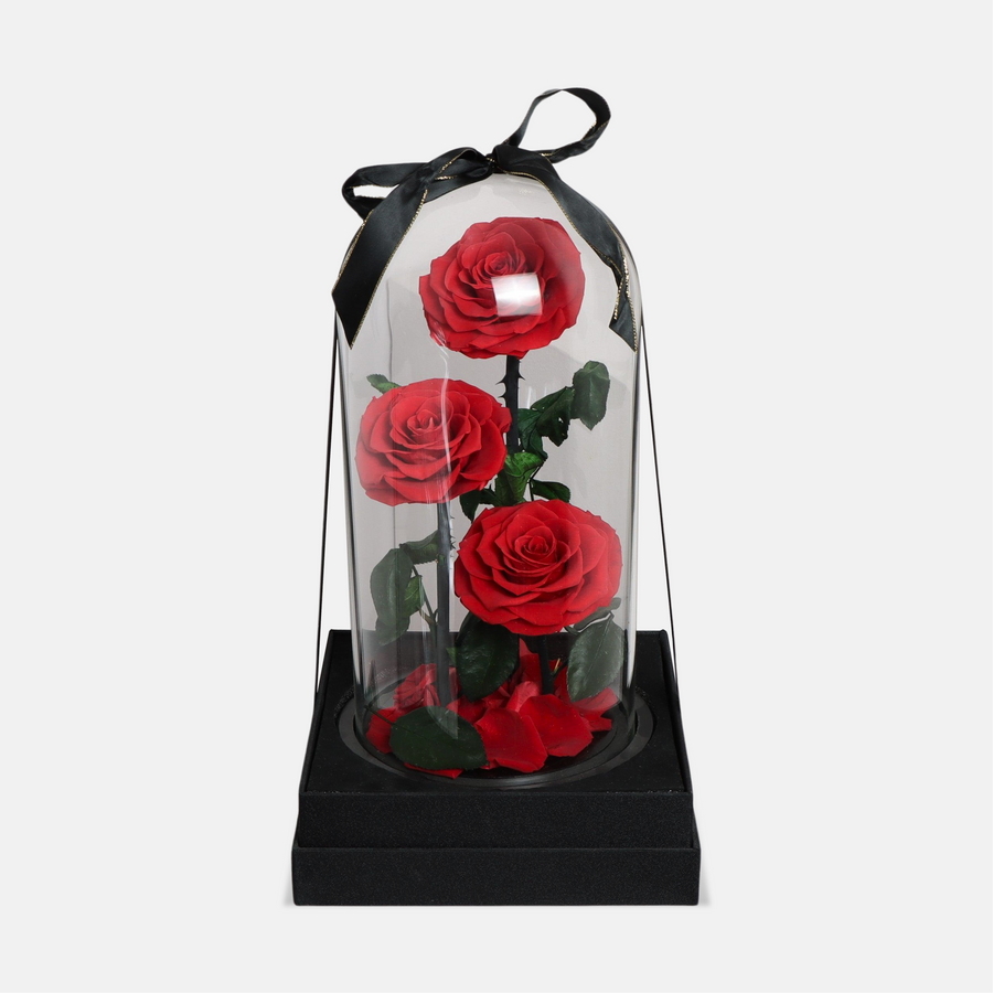 3 Forever Roses Red (40cm x 20cm)