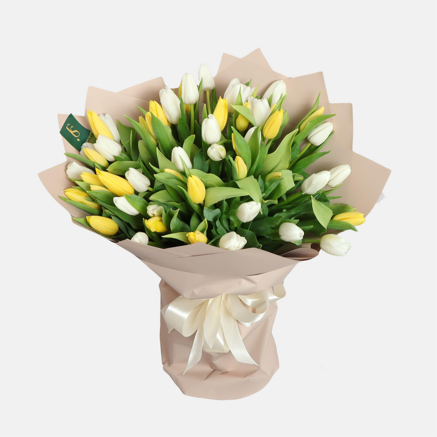 50 White Yellow Tulips