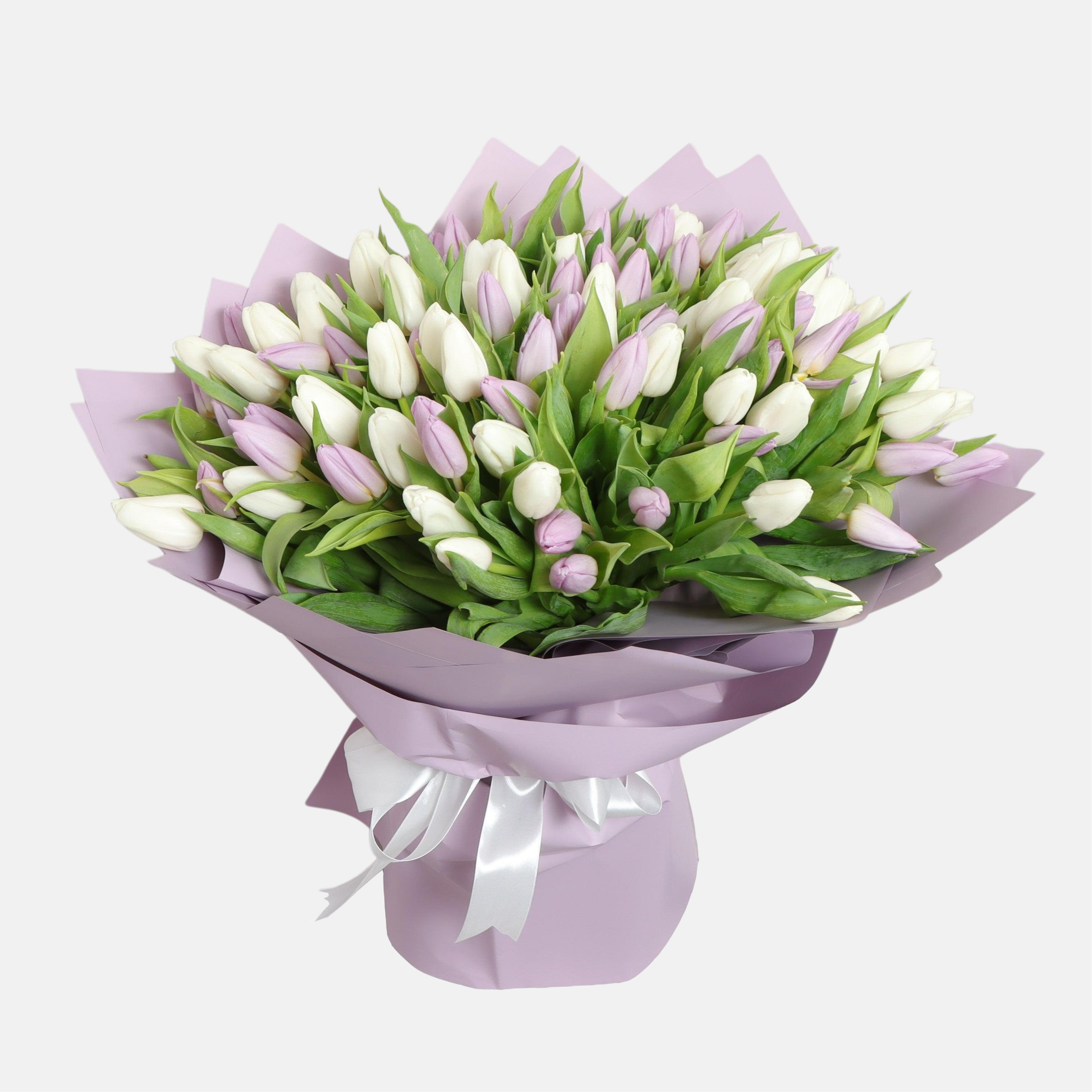 70 White and Purple Tulips