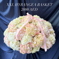 XXL Hydrangea Basket