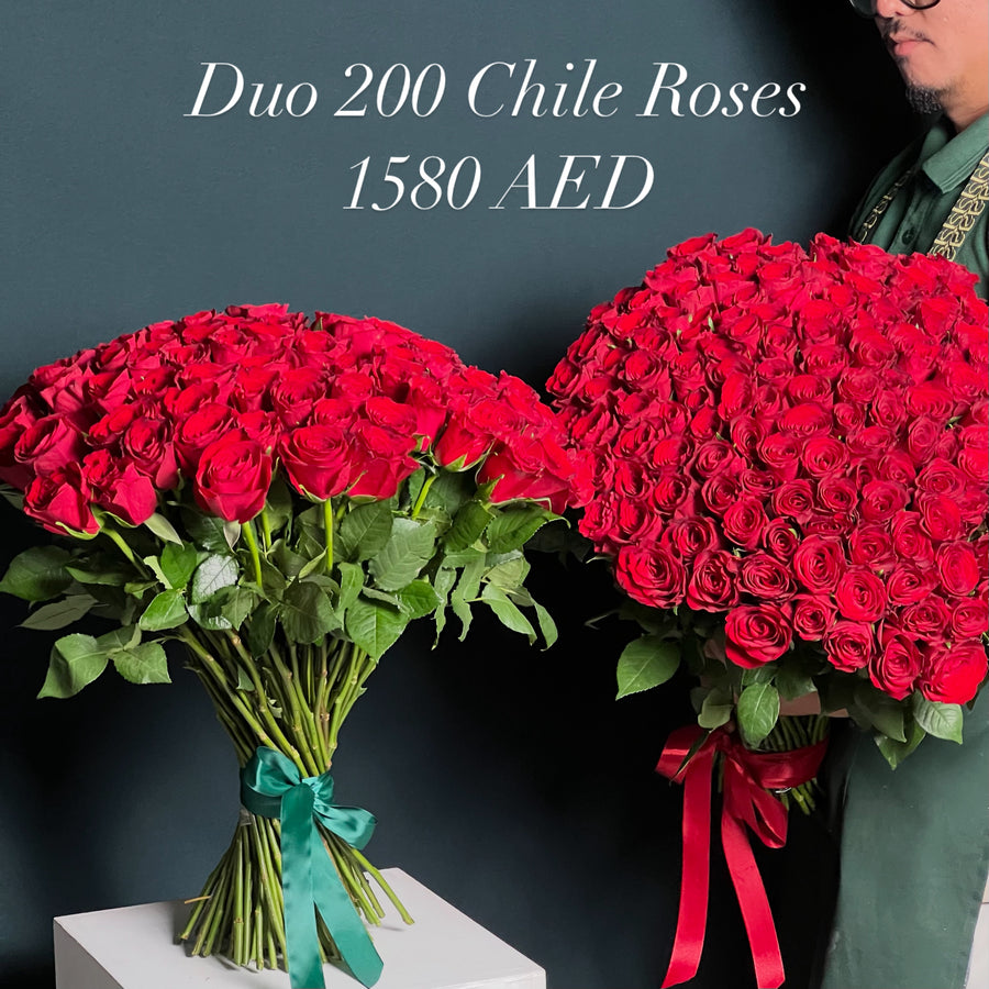 Duo 200 Chile Roses