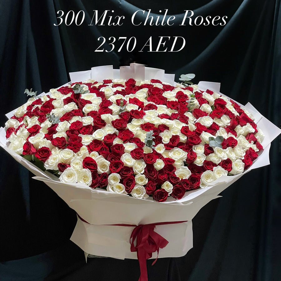 300 Mix Chile Roses