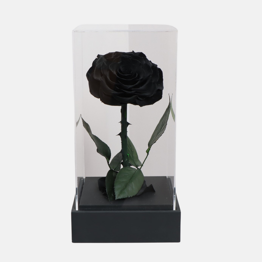 Buy Forever Roses In Dubai | Fast Delivery · Flowers Square
