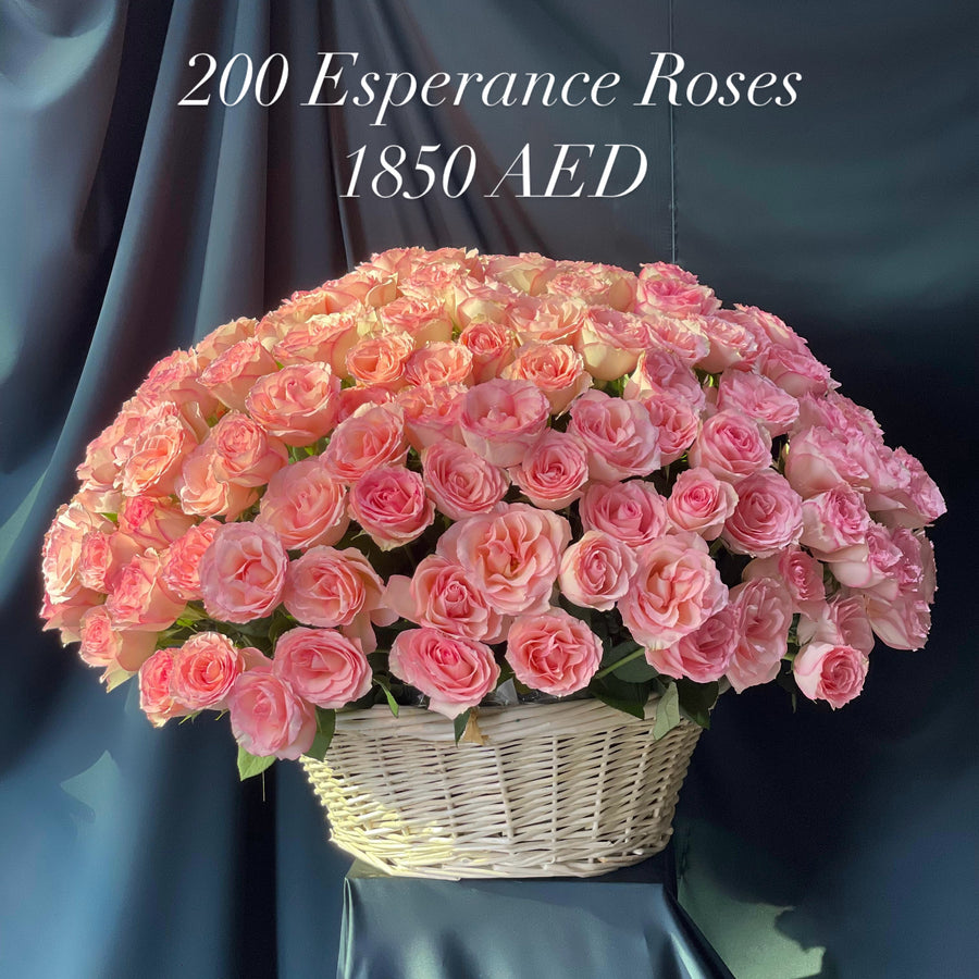 200 Esperance Roses
