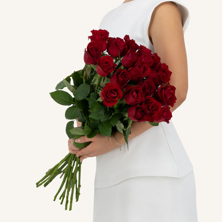 Red Roses Bunch