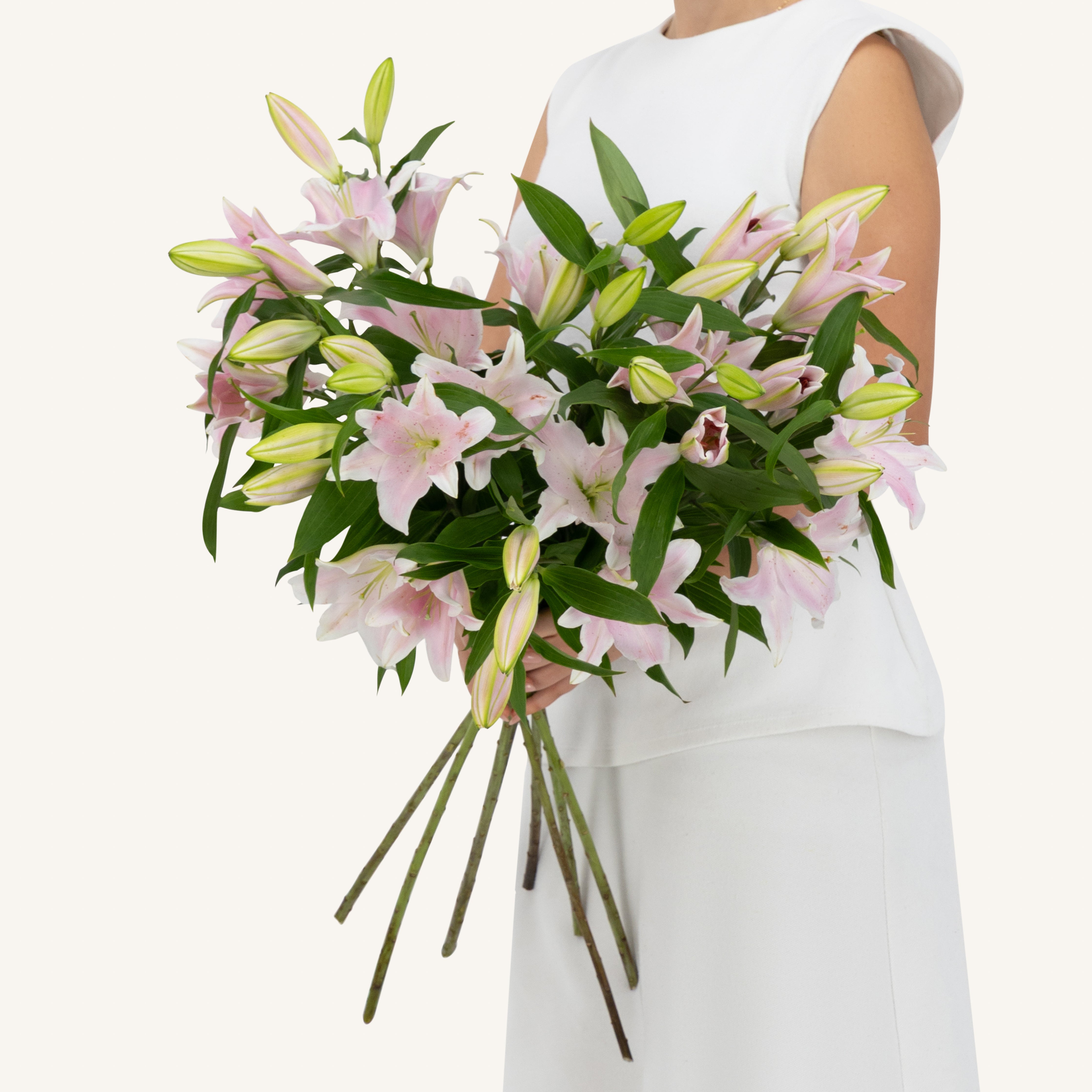 10 Pink Lilies Bunch