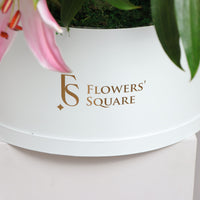 Lilies Delight Box in FS Shop