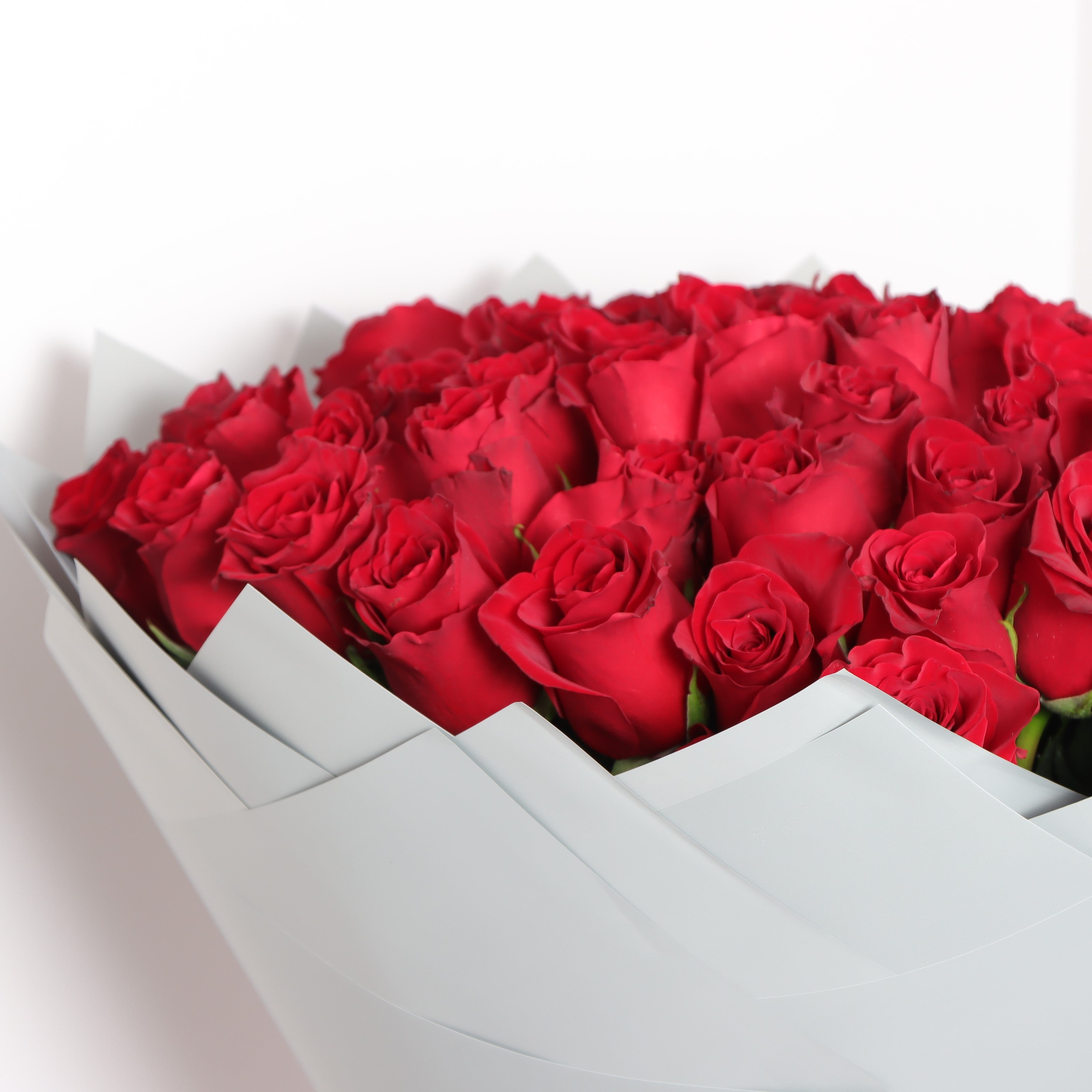 Red rose Rouge Buy Online