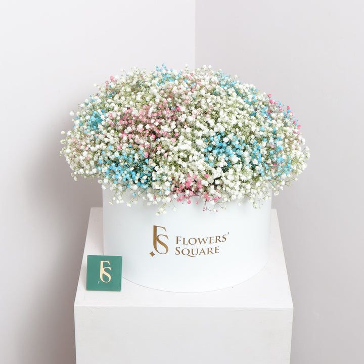 Box of Colorful Gypsophila Delivery in Dubai