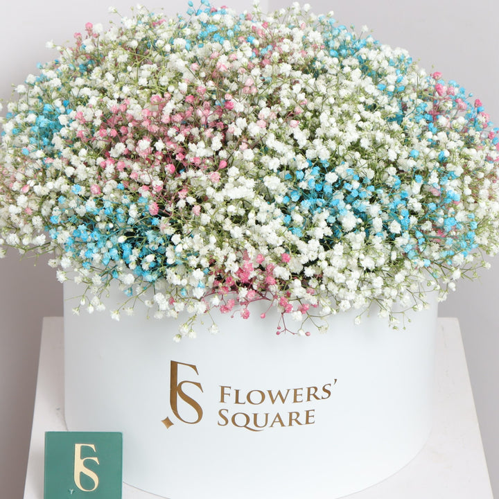 Box of Colorful Gypsophila Same-day Flower Delivery