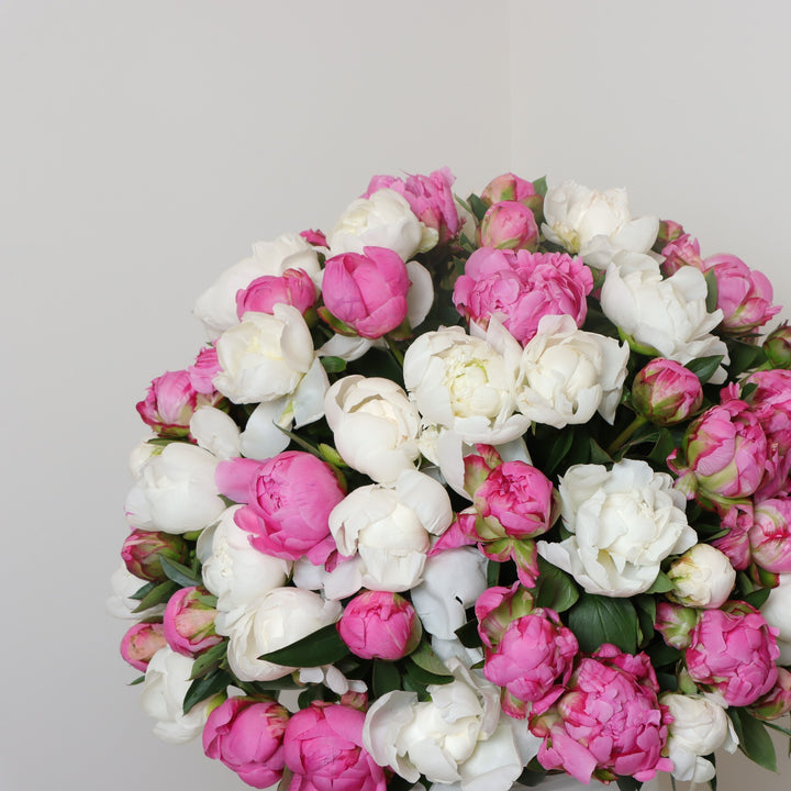 Order Peonies Bouquet in Dubai