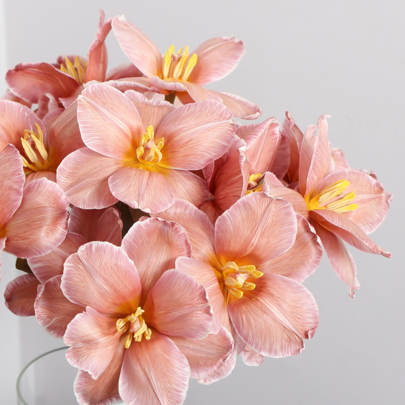 Brown tulip bouquet delivery