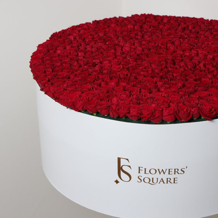 550 Spray Rose Box Red flowers buy online