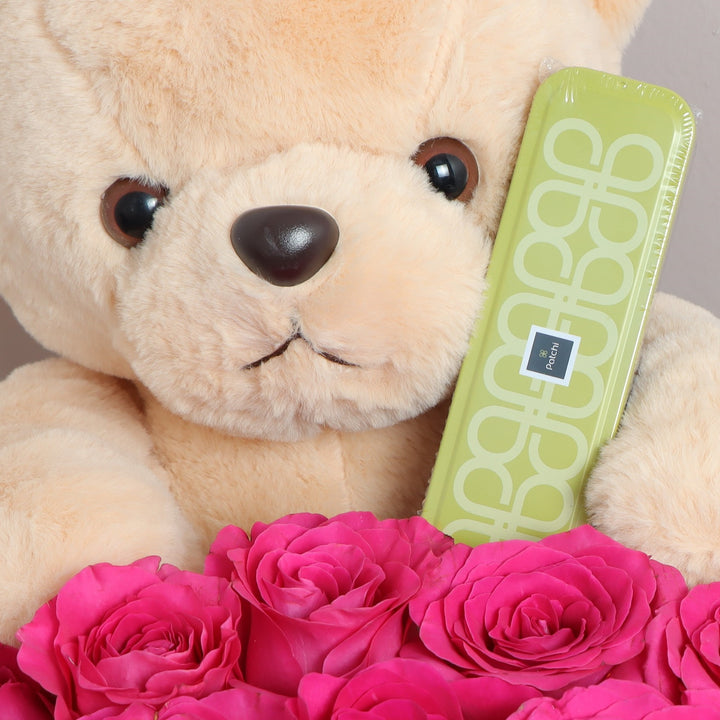 Bear Patchi Fuchsia Rose Box buy online 