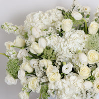  cheap White Flower delivery Dubai