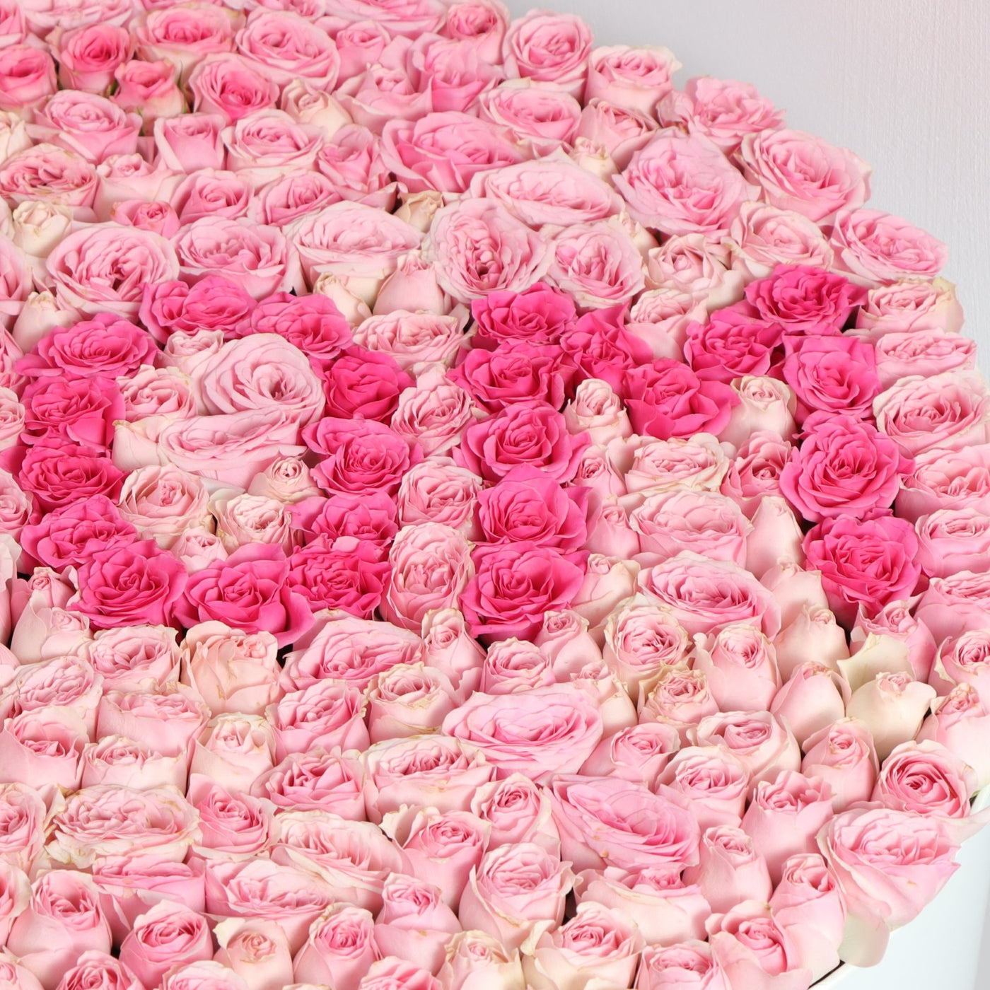 Flower Box Pink Roses Buy online