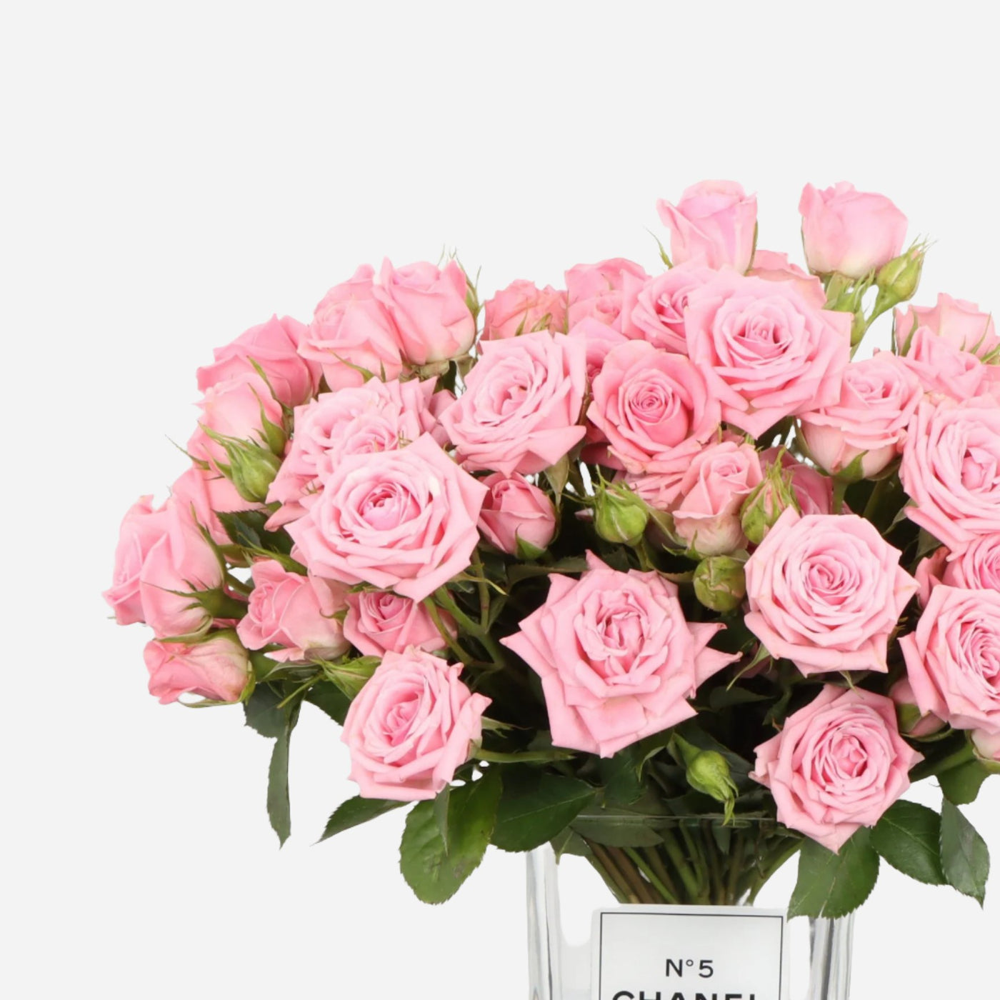 Chanel Pink Rose Vase 10 Stems