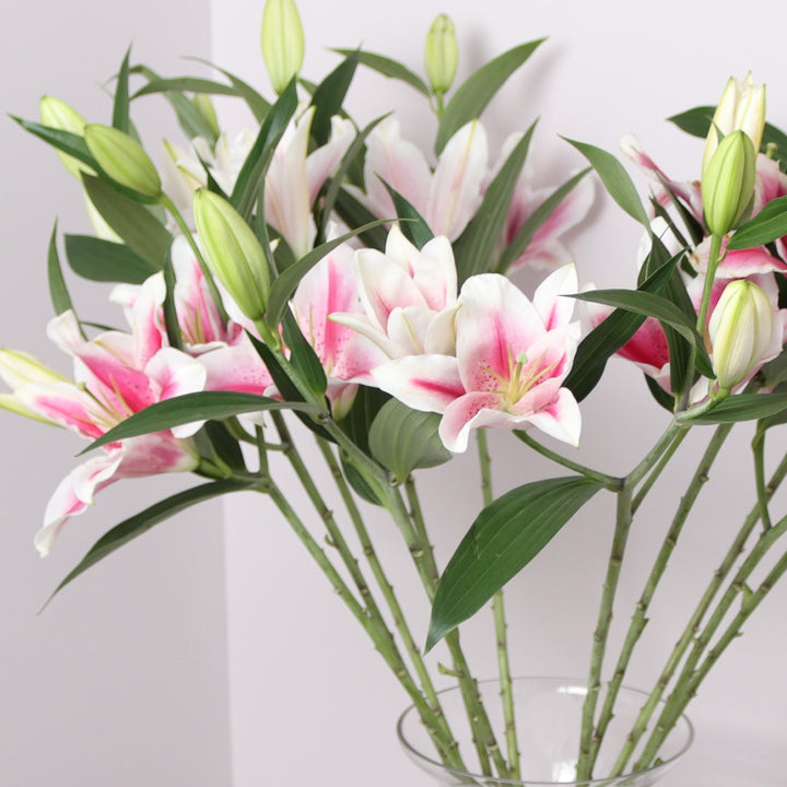 Pink Liliies in Vase Buy Online