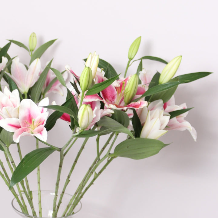 Pink Lilies Bouquet Delivery in Dubai