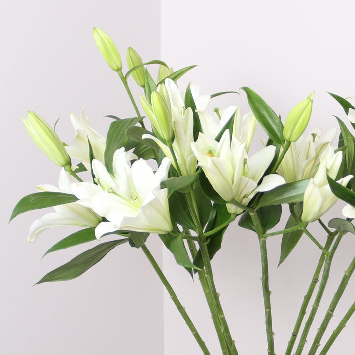 White Lilies in a Vase same-day Delivery