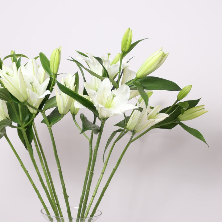 White Lilies Bouquet Delivery in Dubai