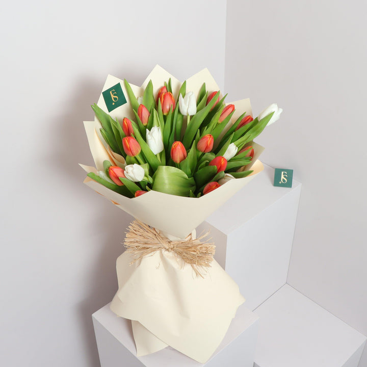 Orange and white tulips for sale