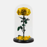 1 Forever Rose Yellow (25cmx20cm)