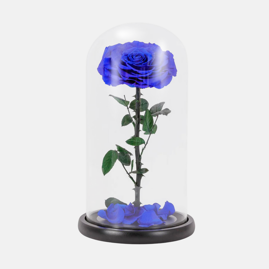 Buy Forever Roses In Dubai | Fast Delivery · Flowers Square