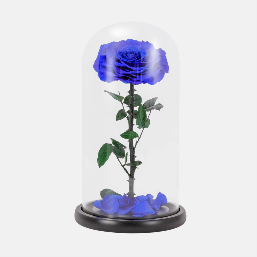1 Forever Rose Blue (25cm x 20cm)