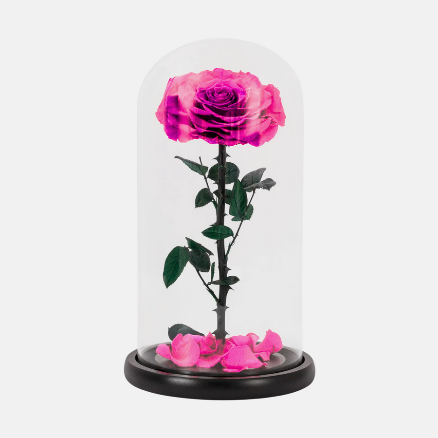 1 Forever Rose Pink (25cm x 20cm)
