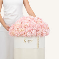 pinkhydrangeaboxXlarge