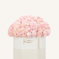 pinkhydrangeaboxXlarge