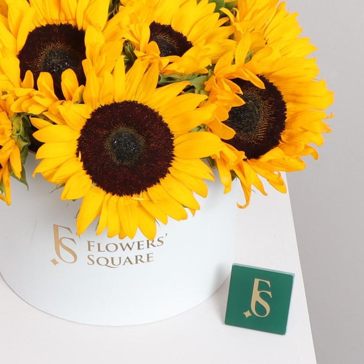 Sunflower Box in FS shop