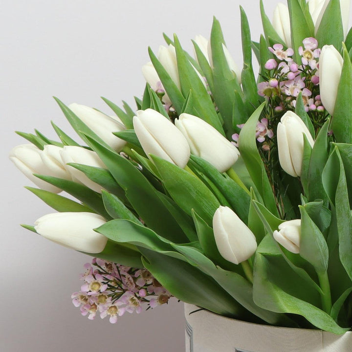 White Tulip Flowers Dubai