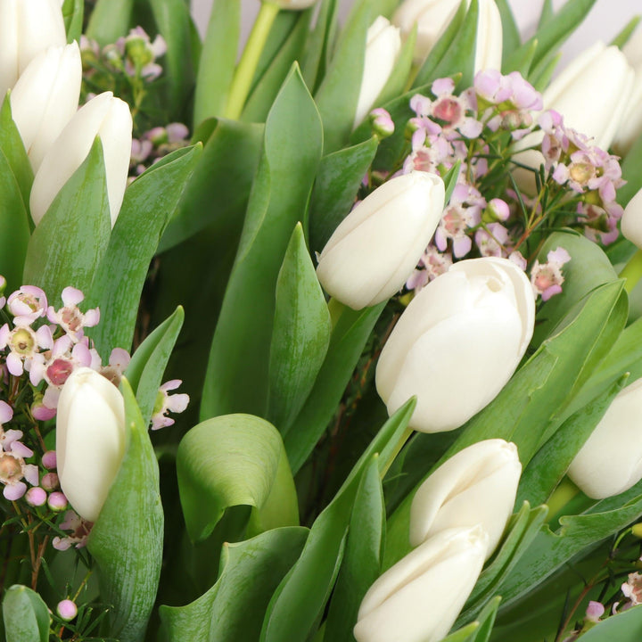 Buy white tulip flowers in Dubai