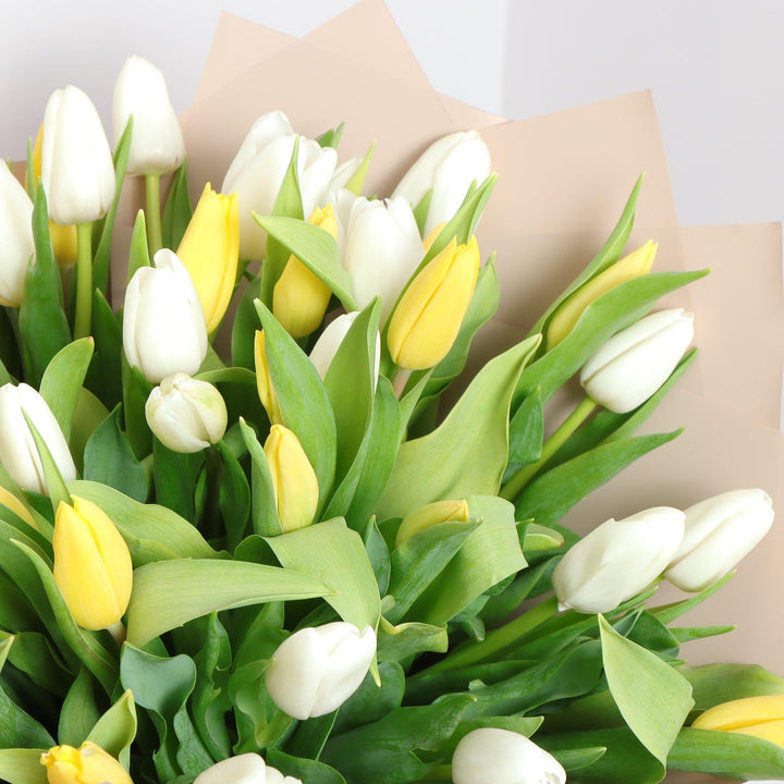 White Yellow Tulips  by Flowers' Square