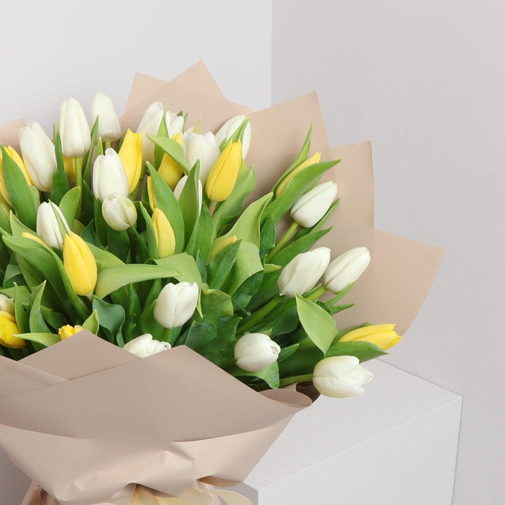 White Yellow Tulips delivery 