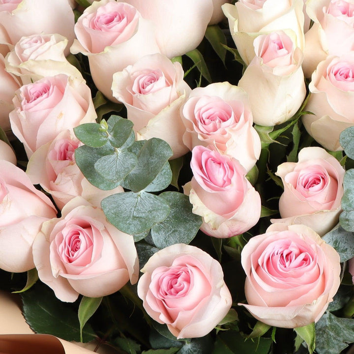 light pink roses bouquet 