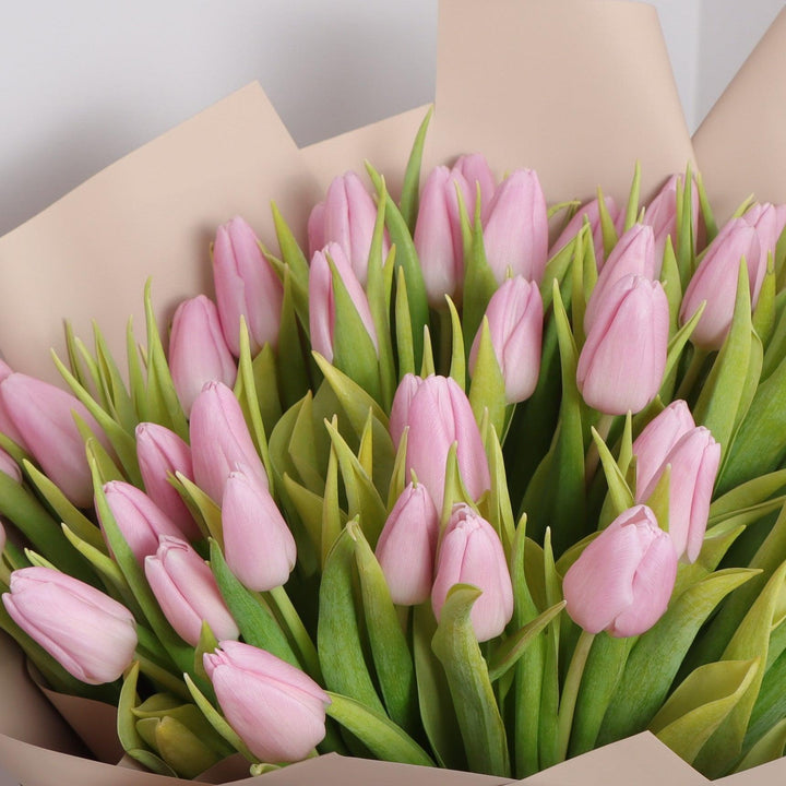 Pink Tulip Bouquet free delivery in Dubai
