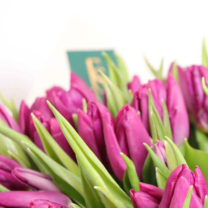 purple tulip bouquet price
