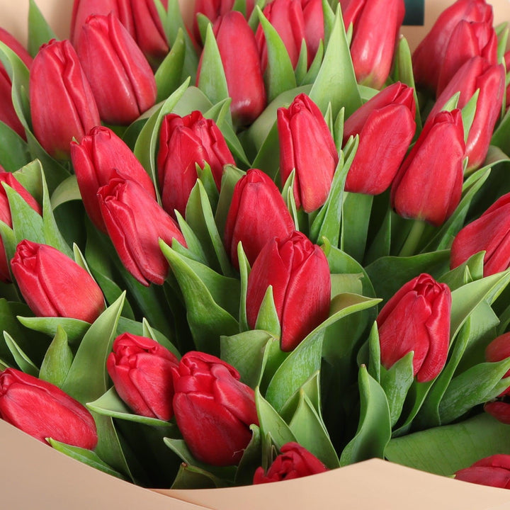 Red Tulip Bouquet Buy online