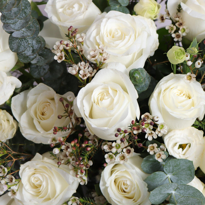 Snow White Roses Free Delivery in Dubai
